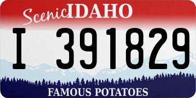 ID license plate I391829