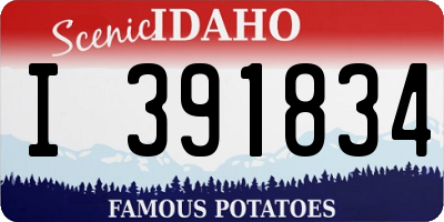 ID license plate I391834