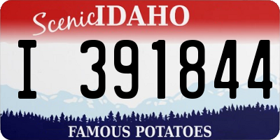ID license plate I391844