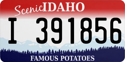 ID license plate I391856