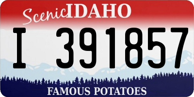 ID license plate I391857