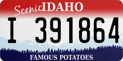 ID license plate I391864