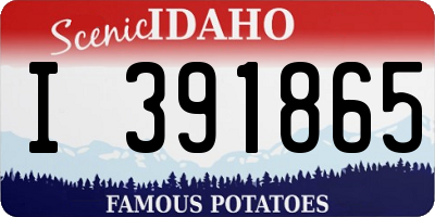 ID license plate I391865