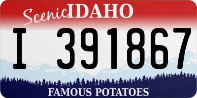 ID license plate I391867