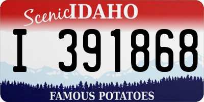 ID license plate I391868