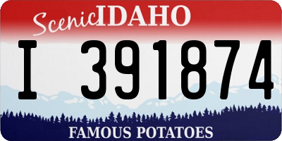 ID license plate I391874