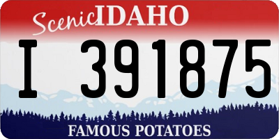 ID license plate I391875