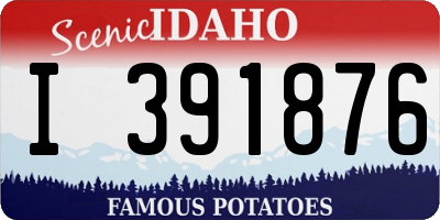 ID license plate I391876