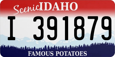ID license plate I391879