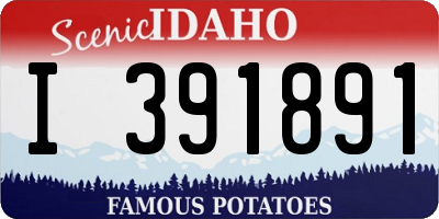 ID license plate I391891