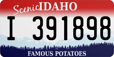 ID license plate I391898