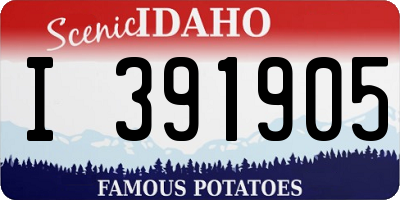 ID license plate I391905
