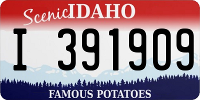 ID license plate I391909