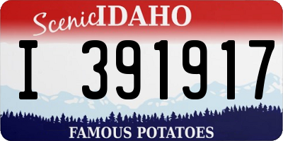 ID license plate I391917