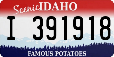 ID license plate I391918