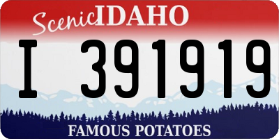 ID license plate I391919