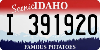 ID license plate I391920