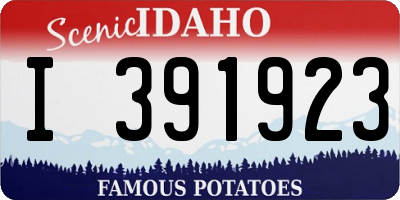 ID license plate I391923