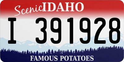 ID license plate I391928