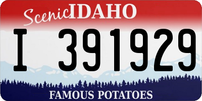 ID license plate I391929