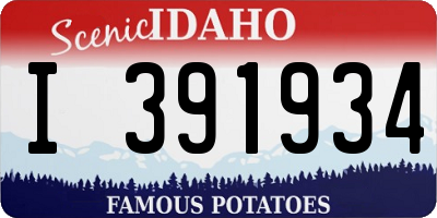 ID license plate I391934