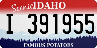 ID license plate I391955