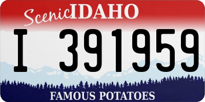 ID license plate I391959