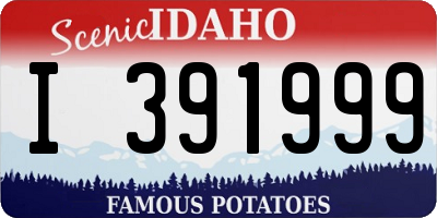 ID license plate I391999