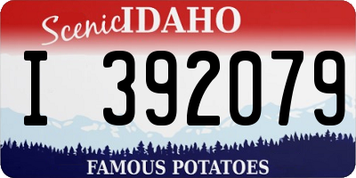 ID license plate I392079