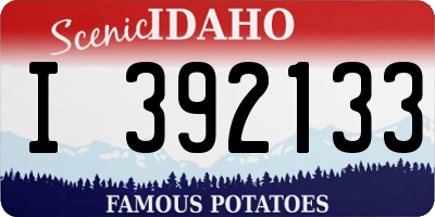 ID license plate I392133
