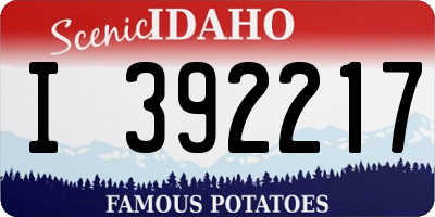 ID license plate I392217