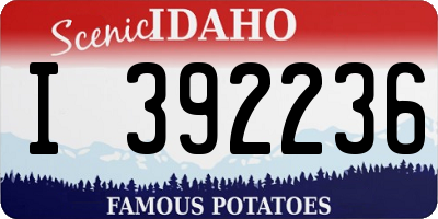 ID license plate I392236