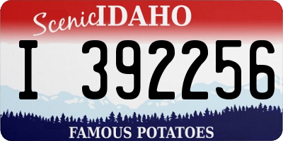 ID license plate I392256