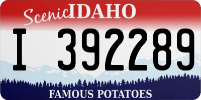 ID license plate I392289