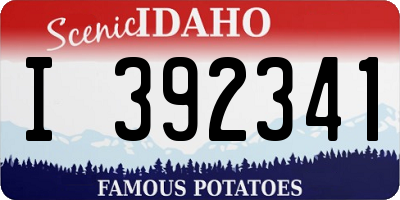 ID license plate I392341