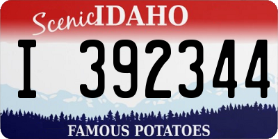 ID license plate I392344