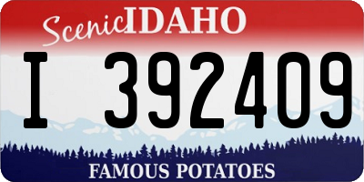 ID license plate I392409