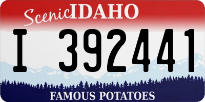 ID license plate I392441