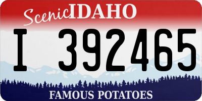 ID license plate I392465