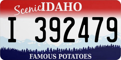 ID license plate I392479