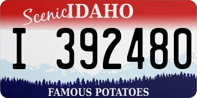 ID license plate I392480
