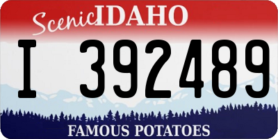 ID license plate I392489