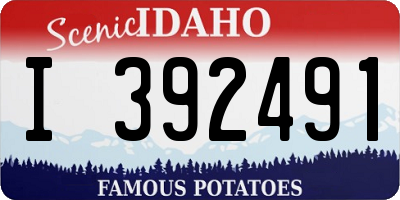 ID license plate I392491