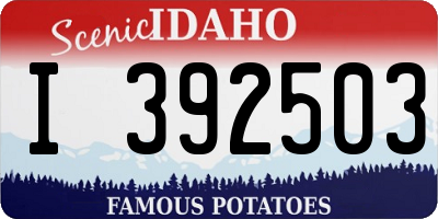 ID license plate I392503