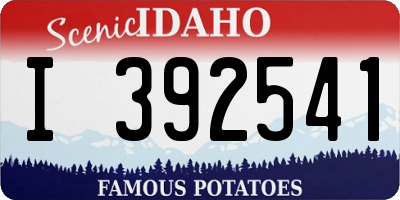 ID license plate I392541