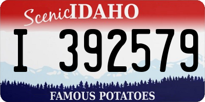 ID license plate I392579