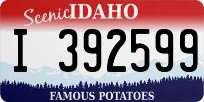 ID license plate I392599