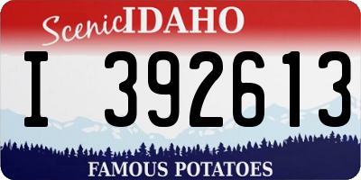 ID license plate I392613