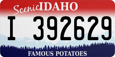 ID license plate I392629