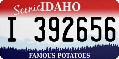 ID license plate I392656